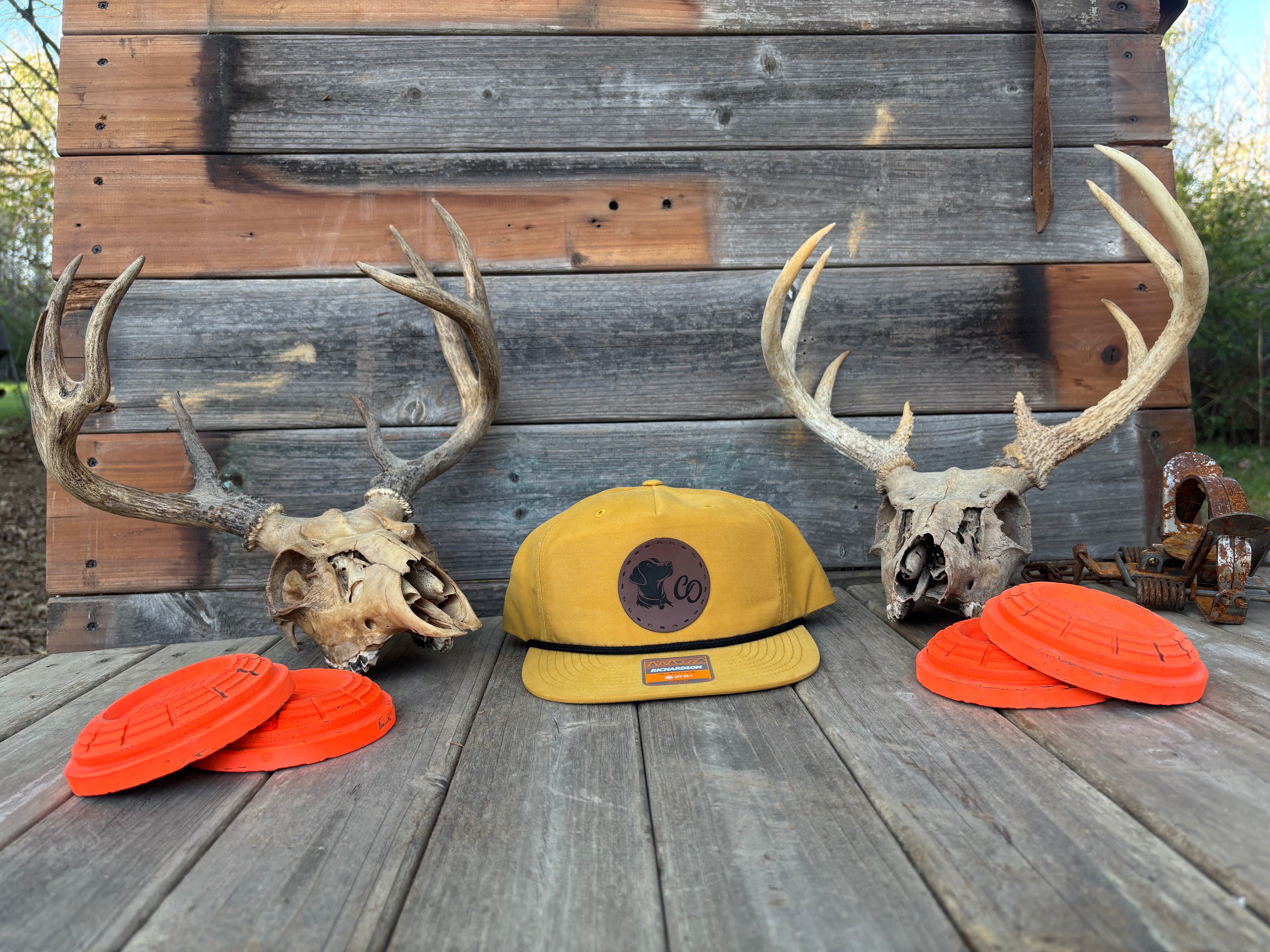 Biscuit Patch Hat (dog)