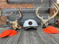 Bottomland Bill Patch Hat (dog)