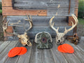 Bottomland Trucker Patch (dog)