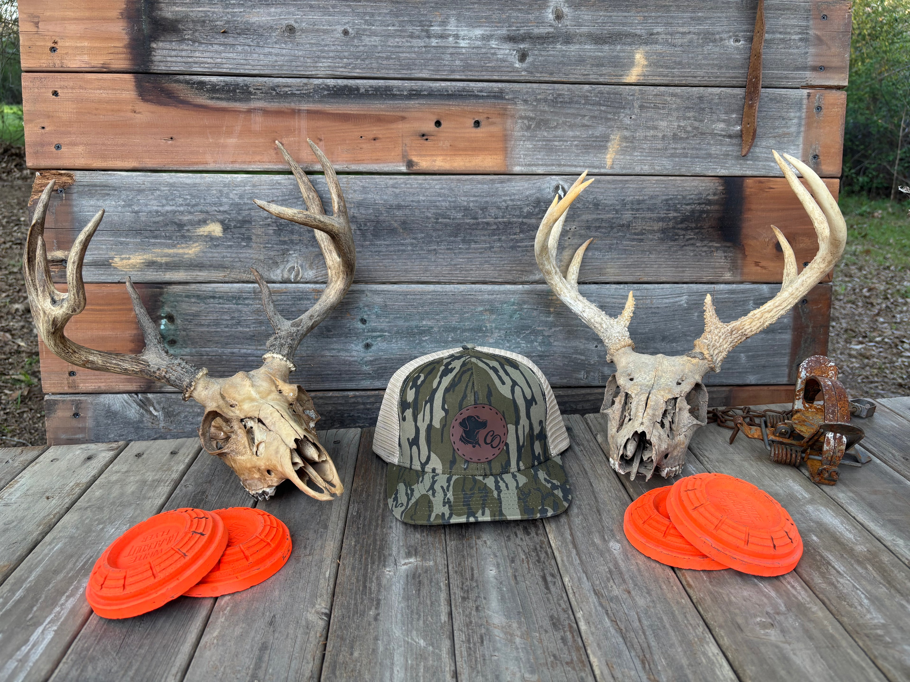 Bottomland Trucker Patch (dog)