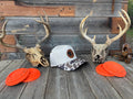 Old School Camo-Slough patch (dog)